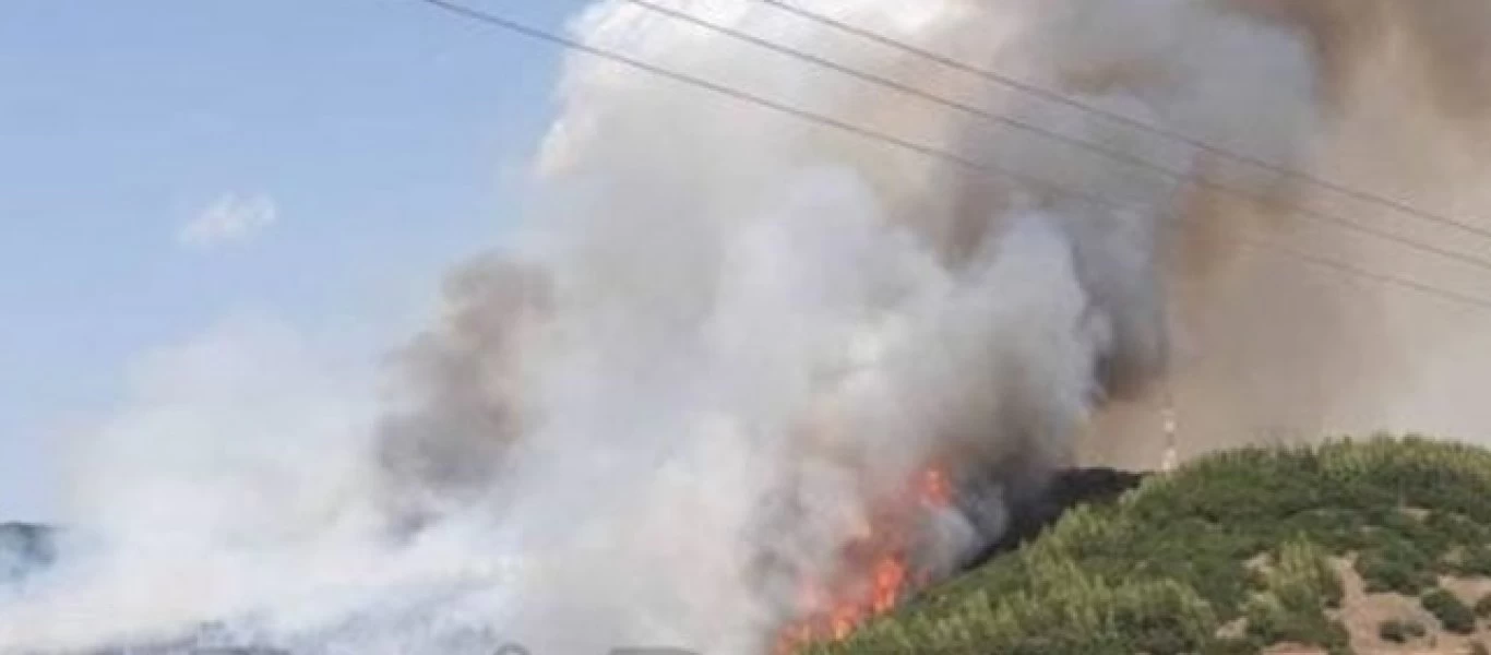 Φθιώτιδα: Μεγάλη φωτιά κοντά σε οικισμούς στη Μακρακώμη (φώτο-βίντεο)